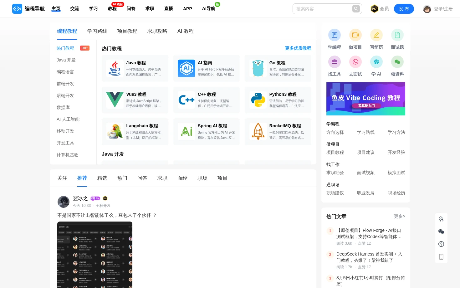 编程导航 页面快照